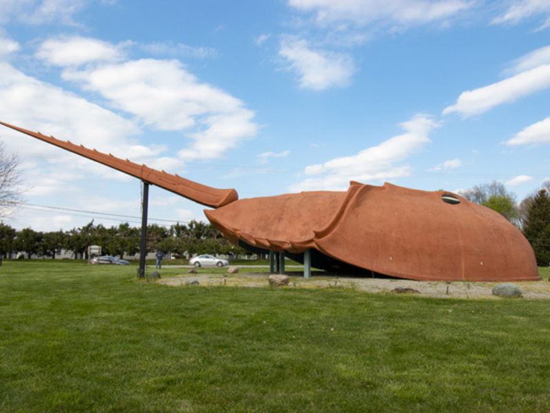 Worlds Largest Horseshoe